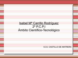 Isabel Mª Carrillo Rodríguez
2º P.C.P.I
Ámbito Científico-Tecnológico
I.E.S. CASTILLO DE MATRERA
 