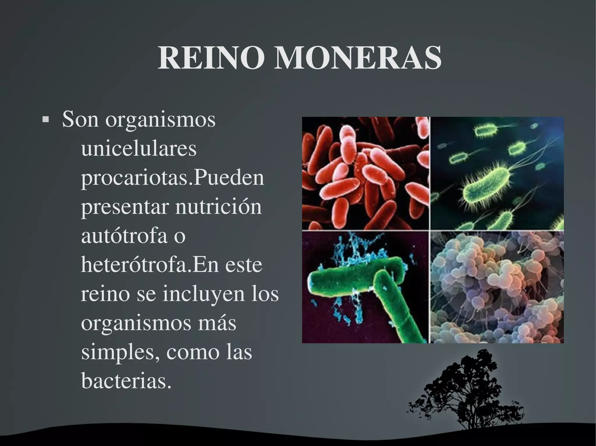 Trabajo de los cinco reinos naturales | ODP