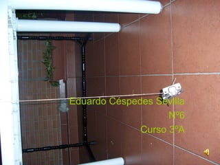 Eduardo Céspedes Sevilla
Nº6
Curso 3ºA
 
