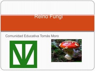 Comunidad Educativa Tomás Moro Reino Fungi 