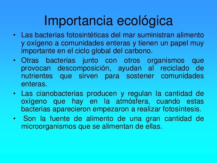 Trabajo Del Reino Monera