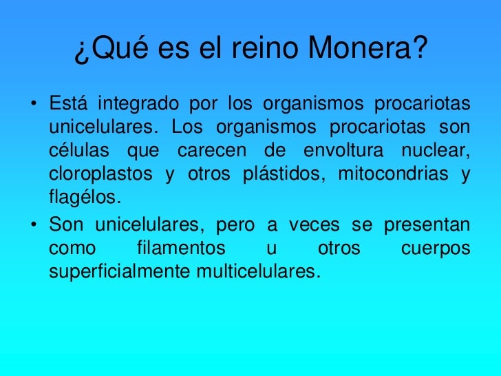 Que Es Margen De Reconocimiento  trabajo del reino monera 