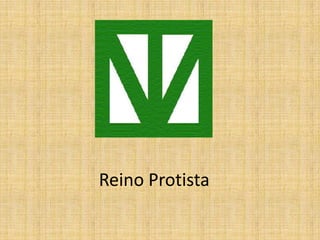 Reino Protista
 