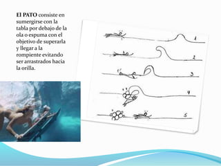 El PATO consiste en
sumergirse con la
tabla por debajo de la
ola o espuma con el
objetivo de superarla
y llegar a la
rompiente evitando
ser arrastrados hacia
la orilla.
 