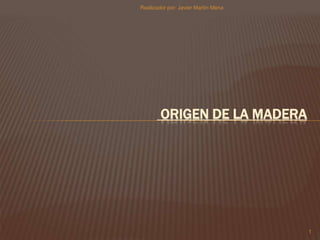 ORIGEN DE LA MADERA
1
Realizador por: Javier Martín Mena
 