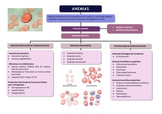 ANEMIAS
Significa la deficiencia de hemoglobina en la sangre, lo que puede deberse
a que hay muy pocos eritrocitos o muy poca hemoglobina en ellos.
TIPOS DE ANEMIA
MODELOCINÉTICO
Carencia de nutrientes:
 Anemiaferropénica
 Anemiamegaloblástica
Afecciones a la médula ósea:
 Anemia aplásica: Médula deja de trabajar,
falta de precursores
 Mielodisplasia: Precursores se tornan células
anormales
 Supresión MO: Drogas, QT, RT
Producción disminuida de hormonas tróficas
para eritropoyesis:
 Eritropoyetina en IRC
 Hipotiroidismo
 Hipogonadismo
Alteración fisiológica de membrana:
 Eritrocateresis
Anemias hemolíticas congénitas:
 Esferocitosis hereditaria
 Eliptocitosis
 Xerocitosis
 Enfermedadfalciforme
 Talasemia mayor.
Anemias hemolíticas adquiridas:
 Púrpura trombocitopénica trombótica
 Síndrome urémico hemolítico
 Autoinmune
 Malaria
 Bartonelosis
 Hiperesplenismo
 Sangrado evidente
 Sangradooculto
 Sangradoinducido
 Sangradosecuestrado
DESTRUCCIÓN DE GLÓBULOS ROJOS:
 MODELO CINÉTICO
 MODELO MORFOLÓGICO
MENOR PRODUCCIÓN DE GLÓBULOS ROJOS: PÉRDIDAS SANGUÍNEAS:
 