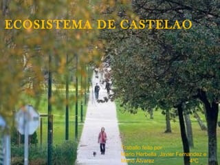 ECOSISTEMA DE CASTELAO
Traballo feito por :
Mario Herbella ,Javier Fernandez e
Mario Álvarez 4ºC
 