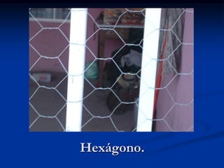 Hexágono.
