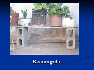Rectangulo.