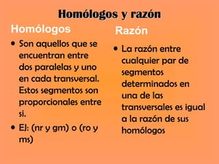 Homólogos y razón
Homólogos                 Razón
• Son aquellos que se
                          • La razón entre
  encuentran entre
                            cualquier par de
  dos paralelas y uno
                            segmentos
  en cada transversal.
                            determinados en
  Estos segmentos son
                            una de las
  proporcionales entre
                            transversales es igual
  si.
                            a la razón de sus
• EJ: (nr y gm) o (ro y     homólogos
  ms)
 