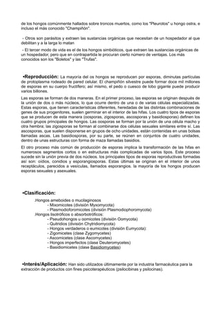 de los hongos comúnmente hallados sobre troncos muertos, como los "Pleurotos" u hongo ostra, e
incluso el más conocido "Champiñón".
- Otros son parásitos y extraen las sustancias orgánicas que necesitan de un hospedador al que
debilitan y a la larga lo matan
- El tercer modo de vida es el de los hongos simbióticos, que extraen las sustancias orgánicas de
un hospedador, pero que en contrapartida le procuran cierto número de ventajas. Los más
conocidos son los "Boletos" y las "Trufas".
▪Reproducción: La mayoría del os hongos se reproducen por esporas, diminutas partículas
de protoplasma rodeado de pared celular. El champiñón silvestre puede formar doce mil millones
de esporas en su cuerpo fructífero; así mismo, el pedo o cuesco de lobo gigante puede producir
varios billones.
Las esporas se forman de dos maneras. En el primer proceso, las esporas se originan después de
la unión de dos o más núcleos, lo que ocurre dentro de una o de varias células especializadas.
Estas esporas, que tienen características diferentes, heredadas de las distintas combinaciones de
genes de sus progenitores, suelen germinar en el interior de las hifas. Los cuatro tipos de esporas
que se producen de esta manera (oosporas, zigosporas, ascosporas y basidiosporas) definen los
cuatro grupos principales de hongos. Las oosporas se forman por la unión de una célula macho y
otra hembra; las zigosporas se forman al combinarse dos células sexuales similares entre sí. Las
ascosporas, que suelen disponerse en grupos de ocho unidades, están contenidas en unas bolsas
llamadas ascas. Las basidiosporas, por su parte, se reúnen en conjuntos de cuatro unidades,
dentro de unas estructuras con forma de maza llamadas basidios.
El otro proceso más común de producción de esporas implica la transformación de las hifas en
numerosos segmentos cortos o en estructuras más complicadas de varios tipos. Este proceso
sucede sin la unión previa de dos núcleos. los principales tipos de esporas reproductivas formadas
así son: oídios, conidios y esporangiosporas. Estas últimas se originan en el interior de unos
receptáculos, parecidos a vesículas, llamados esporangios. la mayoría de los hongos producen
esporas sexuales y asexuales.
▪Clasificación:
.Hongos ameboides o mucilaginosos
- Mixomicotes (división Myxomycota)
- Plasmodioforomicotes (división Plasmodiophoromycota)
.Hongos lisotróficos o absorbotróficos:
- Pseudohongos u oomicotes (división Oomycota)
- Quitridios (división Chytridiomycota)
- Hongos verdaderos o eumicotes (división Eumycota):
- Zigomicetes (clase Zygomycetes)
- Ascomicetes (clase Ascomycetes)
- Hongos imperfectos (clase Deuteromycetes)
- Basidiomicetes (clase Basidiomycetes)
▪Interés/Aplicación: Han sido utilizados últimamente por la industria farmacéutica para la
extracción de productos con fines psicoterapéuticos (psilocibinas y psilocinas).
 