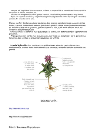 - Musgos: son las primeras plantas terrestres, su forma es muy sencilla, no toleran el sol directo, se ubican
en cortezas de árboles, rocas lisas, etc.
- Helechos: los más primitivos tenían grandes tamaños, y se extendían por una superficie muy extensa.
- Algas: son vegetales acuáticos, y los primeros vegetales que poblaron la tierra. Hay una gran variedad de
especies. No necesitan raíz ni tallo.
Plantas con flor: Son la mayoría de las plantas. Los órganos reproductores se encuentra en las
flores, y de ellas se forman las semillas y los frutos, que son los que sirven para la reproducción.
La floración puede ser muy variada, por única vez en la vida, o por doble floración anual. Se
dividen en dos grandes grupos.
-Gimnospermas: no tienen un fruto que proteja a la semilla, son de flores simples y generalmente
pequeñas.
- Angiospermas: son plantas más evolucionadas, sus flores son complejas y por lo general muy
llamativas. Las semillas se encuentran recubiertas por un fruto.
▪Interés/Aplicación: Las plantas son muy utilizadas en alimentos, pero más aun para
medicamentos. Muchos de los medicamentos que tomamos y alimentos también son echos con
plantas.
BIBLIOGRAFÍA
http://www.wikipedia.org/
http://www.monografias.com/
http://erikaquiceno.blogspot.com/
 