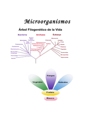 Microorganismos
 