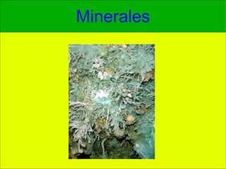 Minerales 