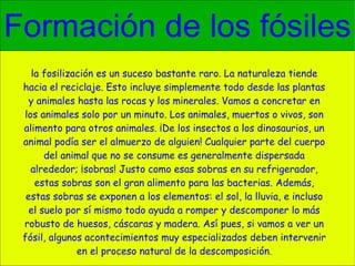 Formación de los fósiles la fosilización es un suceso bastante raro. La naturaleza tiende hacia el reciclaje. Esto incluye simplemente todo desde las plantas y animales hasta las rocas y los minerales. Vamos a concretar en los animales solo por un minuto. Los animales, muertos o vivos, son alimento para otros animales. ¡De los insectos a los dinosaurios, un animal podía ser el almuerzo de alguien! Cualquier parte del cuerpo del animal que no se consume es generalmente dispersada alrededor; ¡sobras! Justo como esas sobras en su refrigerador, estas sobras son el gran alimento para las bacterias. Además, estas sobras se exponen a los elementos: el sol, la lluvia, e incluso el suelo por sí mismo todo ayuda a romper y descomponer lo más robusto de huesos, cáscaras y madera. Así pues, si vamos a ver un fósil, algunos acontecimientos muy especializados deben intervenir en el proceso natural de la descomposición. 