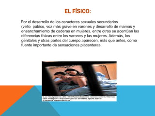 EL FÍSICO:
Por el desarrollo de los caracteres sexuales secundarios
(vello púbico, voz más grave en varones y desarrollo de mamas y
ensanchamiento de caderas en mujeres, entre otros se acentúan las
diferencias físicas entre los varones y las mujeres. Además, los
genitales y otras partes del cuerpo aparecen, más que antes, como
fuente importante de sensaciones placenteras.
 