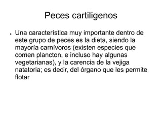 Peces cartiligenos
● Una característica muy importante dentro de
este grupo de peces es la dieta, siendo la
mayoría carnívoros (existen especies que
comen plancton, e incluso hay algunas
vegetarianas), y la carencia de la vejiga
natatoria; es decir, del órgano que les permite
flotar
 