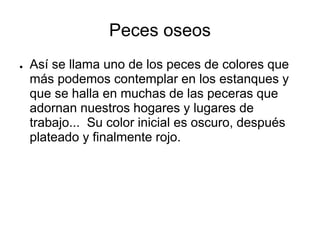Peces oseos
● Así se llama uno de los peces de colores que
más podemos contemplar en los estanques y
que se halla en muchas de las peceras que
adornan nuestros hogares y lugares de
trabajo... Su color inicial es oscuro, después
plateado y finalmente rojo.
 