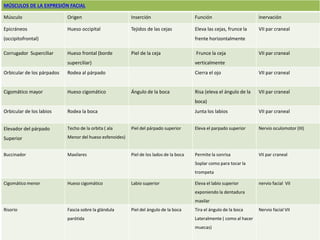 MÚSCULOS DE LA EXPRESIÓN FACIAL 
Músculo Origen Inserción Función Inervación 
Epicráneos 
(occipitofrontal) 
Hueso occipital Tejidos de las cejas Eleva las cejas, frunce la 
frente horizontalmente 
VII par craneal 
Corrugador Superciliar Hueso frontal (borde 
superciliar) 
Piel de la ceja Frunce la ceja 
verticalmente 
VII par craneal 
Orbicular de los párpados Rodea al párpado Cierra el ojo VII par craneal 
Cigomático mayor Hueso cigomático Ángulo de la boca Risa (eleva el ángulo de la 
boca) 
VII par craneal 
Orbicular de los labios Rodea la boca Junta los labios VII par craneal 
Elevador del párpado 
Superior 
Techo de la orbita ( ala 
Menor del hueso esfenoides) 
Piel del párpado superior Eleva el parpado superior Nervio oculomotor (III) 
Buccinador Maxilares Piel de los lados de la boca Permite la sonrisa 
Soplar como para tocar la 
trompeta 
VII par craneal 
Cigomático menor Hueso cigomático Labio superior Eleva el labio superior 
exponiendo la dentadura 
maxilar 
nervio facial VII 
Risorio Fascia sobre la glándula 
parótida 
Piel del ángulo de la boca Tira el ángulo de la boca 
Lateralmente ( como al hacer 
muecas) 
Nervio facial VII 
 