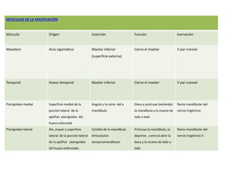 MÚSCULOS DE LA MASTICACIÓN 
Músculo Origen Inserción Función Inervación 
Masetero Arco cigomático Maxilar inferior 
(superficie externa) 
Cierra el maxilar V par craneal 
Temporal Hueso temporal Maxilar inferior Cierra el maxilar V par craneal 
Pterigoideo medial Superficie medial de la 
porción lateral de la 
apófisis pterigoides del 
hueso esfenoide 
Angulo y la rama del a 
mandíbula 
Eleva y protruye (extiende) 
la mandíbula y la mueve de 
lado a lado 
Ramo mandibular del 
nervio trigémino 
Pterigoideo lateral Ala ,mayor y superficie 
lateral de la porción lateral 
de la apófisis pterigoides 
del hueso esfenoides 
Cóndilo de la mandíbula 
Articulación 
temporomandibular 
Protruye la mandíbula, la 
deprime , como al abrir la 
boca y la mueve de lado a 
lado 
Ramo mandibular del 
nervio trigémino V 
 
