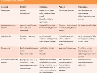 MÚSCULOS DE LA PARED ABDOMINAL 
musculo Origen Inserción Acción Inervación 
Oblicuo mayor Costillas 
(ocho ultimas) 
Coxales (cresta iliaca y 
pubis, mediante el arco 
crural) 
Línea alba, mediante 
aponeurosis 
Comprime el abdomen Siete últimos nervios 
intercostales y 
abdominogenitales mayor 
y menor. 
Musculo oblicuo interno 
abdominal 
Ligamento inguinal, cresta 
iliaca y de la fascia 
toracolumbar 
Linea alba, linea pactinea, 
borde inferior 10 y 12 costilla 
Comprime y sostiene visceras 
abdominales, rota y flexiona 
el tronco 
Nervios perifericos T12 ,6 y 1 
Cuadrado lumbar Cresta iliaca y ligamento 
iliolumbar 
Borde inferior de la 
duodécima costilla y primeras 
cuatro vertebras lumbares 
Flexiona lateralmente la 
columna vertebral, 
especialmente la región 
lumbar 
Nervio espinal toracico T12 y 
nervios espinales lumbares 
L1, L3 o L1 y L4 
Oblicuo menor Coxales (cresta iliaca y arco 
crural) 
Aponeurosis lumbar 
Costillas (tres ultimas) 
Pubis 
Línea alba 
Igual que el oblicuo mayor Tres últimos nervios 
intercostales; nervios 
abdominogenitales, mayor 
y menor 
Musculo oblicuo externo del 
abdomen 
Se origina por arriba en la 
cara externa y borde 
inferior de las siete u ocho 
últimas costillas 
Se inserta en la cara externa 
de las 7 u 8 últimas costillas, 
se dirige hacia el borde superior 
de la cresta ilíaca, y hasta los 
tercios anteriores de la espina 
ilíaca anterior y superior 
Actúa reprimiendo las 
costillas, los oblicuos 
flexionan el tronco y 
deprimen la pared 
abdominal. 
Lo inervan los nervios 
intercostales inferiores y 
abdominales 
 
