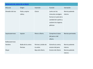 MÚSCULOS DEL SUELO DE LA PELVIS 
Músculo Origen Inserción Función Inervación 
Elevador del ano Pubis y espina 
ciática 
Cóccix Junto con los 
músculos coccígeos 
forman el suelo de la 
cavidad de la pelvis y 
sostiene los órganos 
pélvicos 
Nervio pudendo 
interno 
Isquiocavernoso Isquion Pene o clítoris Comprime la base 
del pene o del 
clítoris 
Nervios perineales 
Bulbocavernoso 
Hombre 
Mujer 
Bulbo de la uretra 
Perineo 
Perineo y bulbo de 
la uretra 
Base del clítoris 
Estrecha la uretra; 
erector del pene 
Erector del clítoris 
Nervio pudendo 
interno 
Nervio pudendo 
interno 
 