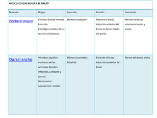 MÚSCULOS QUE MUEVEN EL BRAZO 
Músculo Origen Inserción Función Inervación 
Pectoral mayor Clavícula (mitad interna) 
Esternón 
Cartílagos costales de las 
costillas verdaderas 
Húmero (troquíter) Flexiona el brazo 
Aducción anterior del 
brazo; lo lleva a través 
del pecho 
Nervios torácicos 
anteriores menor y 
mayor 
Dorsal ancho Vértebras (apófisis 
espinosas de las 
vertebras dorsales 
inferiores, lumbares y 
sacras) 
Ilion (cresta) 
Aponeurosis lumbar 
Húmero (corredera 
bicipital) 
Extiende el brazo 
Aducción posterior de 
brazo 
Nervio del dorsal ancho 
 