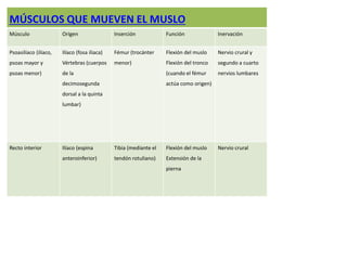 MÚSCULOS QUE MUEVEN EL MUSLO 
Músculo Origen Inserción Función Inervación 
Psoasilíaco (ilíaco, 
psoas mayor y 
psoas menor) 
Ilíaco (fosa iliaca) 
Vértebras (cuerpos 
de la 
decimosegunda 
dorsal a la quinta 
lumbar) 
Fémur (trocánter 
menor) 
Flexión del muslo 
Flexión del tronco 
(cuando el fémur 
actúa como origen) 
Nervio crural y 
segundo a cuarto 
nervios lumbares 
Recto interior Ilíaco (espina 
anteroinferior) 
Tibia (mediante el 
tendón rotuliano) 
Flexión del muslo 
Extensión de la 
pierna 
Nervio crural 
 