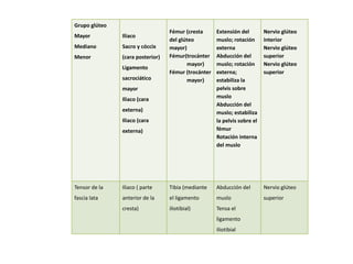 Grupo glúteo 
Mayor 
Mediano 
Menor 
Iliaco 
Sacro y cóccix 
(cara posterior) 
Ligamento 
sacrociático 
mayor 
Iliaco (cara 
externa) 
Iliaco (cara 
externa) 
Fémur (cresta 
del glúteo 
mayor) 
Fémur(trocánter 
mayor) 
Fémur (trocánter 
mayor) 
Extensión del 
muslo; rotación 
externa 
Abducción del 
muslo; rotación 
externa; 
estabiliza la 
pelvis sobre 
muslo 
Abducción del 
muslo; estabiliza 
la pelvis sobre el 
fémur 
Rotación interna 
del muslo 
Nervio glúteo 
interior 
Nervio glúteo 
superior 
Nervio glúteo 
superior 
Tensor de la 
fascia lata 
Iliaco ( parte 
anterior de la 
cresta) 
Tibia (mediante 
el ligamento 
iliotibial) 
Abducción del 
muslo 
Tensa el 
ligamento 
iliotibial 
Nervio glúteo 
superior 
 