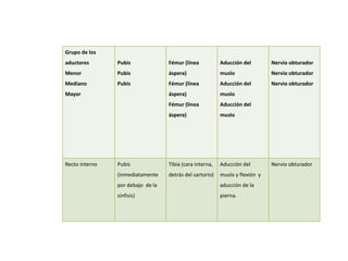 Grupo de los 
aductores 
Menor 
Mediano 
Mayor 
Pubis 
Pubis 
Pubis 
Fémur (línea 
áspera) 
Fémur (línea 
áspera) 
Fémur (línea 
áspera) 
Aducción del 
muslo 
Aducción del 
muslo 
Aducción del 
muslo 
Nervio obturador 
Nervio obturador 
Nervio obturador 
Recto interno Pubis 
(inmediatamente 
por debajo de la 
sínfisis) 
Tibia (cara interna, 
detrás del sartorio) 
Aducción del 
muslo y flexión y 
aducción de la 
pierna. 
Nervio obturador 
 