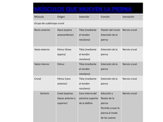 MÚSCULOS QUE MUEVEN LA PIERNA 
Músculo Origen Inserción Función Inervación 
Grupo de cuádriceps crural 
Recto anterior Iliaco (espina 
anteroinferior) 
Tibia (mediante 
el tendón 
rotuliano) 
Flexión del muslo 
Extensión de la 
pierna 
Nervio crural 
Vasto externo Fémur (línea 
áspera) 
Tibia (mediante 
el tendón 
rotuliano) 
Extensión de la 
pierna 
Nervio crural 
Vasto interno Fémur Tibia (mediante 
el tendón 
rotuliano) 
Extensión de la 
pierna 
Nervio crural 
Crural Fémur (cara 
anterior) 
Tibia (mediante 
el tendón 
rotuliano) 
Extensión de la 
pierna 
Nervio crural 
Sartorio Coxal (espinas 
iliacas anterior y 
superior) 
Cara interna del 
extremo superior 
de la diáfisis 
Aducción y 
flexión de la 
pierna 
Permite cruzar la 
pierna al modo 
de los sastres 
Nervio crural 
 
