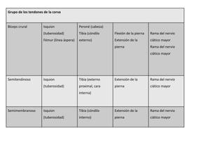 Grupo de los tendones de la corva 
Bíceps crural Isquion 
(tuberosidad) 
Fémur (línea áspera) 
Peroné (cabeza) 
Tibia (cóndilo 
externo) 
Flexión de la pierna 
Extensión de la 
pierna 
Rama del nervio 
ciático mayor 
Rama del nervio 
ciático mayor 
Semitendinoso Isquion 
(tuberosidad) 
Tibia (externo 
proximal, cara 
interna) 
Extensión de la 
pierna 
Rama del nervio 
ciático mayor 
Semimembranoso Isquion 
(tuberosidad) 
Tibia (cóndilo 
interno) 
Extensión de la 
pierna 
Rama del nervio 
ciático mayor 
 