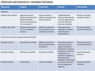 Musculo Origen Inserción Acción Inervación 
Esplenios 
Esplenio de la cabeza Ligamento nucal y 
apófisis espinosa de la 
séptima vertebra 
cervical y las primeras 
3 o 4 vertebras T 
Hueso occipital y 
apófisis mastoides del 
hueso temporal 
Individualmente 
Flexiona lateralmente 
y rota la cabeza hacia 
el mismo lado del 
musculo contraído 
Nervios cervicales, 
espinales medios 
Esplenio del cuello Apófisis espinosas de 
la 3 a la 6 vertebra 
torácica 
Apófisis transversas 
de las primeras 2 o 4 
vertebras cervicales 
Actuando juntos 
extienden la cabeza, 
solos flexionan 
lateralmente y 
Nervios espinales 
cervicales inferiores 
Erector de la columna (grupo iliocostal lateral) 
Iliocostal cervical Seis primeras costillas Apófisis transversas 
de las primeras 4 a 6 
vertebras C . 
Actuando juntos los 
músculos de cada 
región extienden y 
mantienen la postura 
erecta de la columna 
vertebral en sus 
respectivas regiones 
Actuando solos 
flexionan lateralmente 
la columna vertebral 
en sus respectivas 
regiones. 
Nervios espinales y 
cervicales torácicos 
Iliocostal torácico Ultimas seis costillas Primeras 6 costillas Nervios espinales 
torácicos 
Iliocostal lumbar Crestaa iliaca Ultimas 6 costillas Nervios espinales 
lumbares 
 