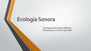 Ecología Sonora
Santiago Iguacel, Agustín Márquez,
Tobias Aispuro y Camilo López Allan
 