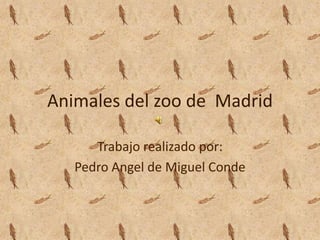 Animales del zoo de Madrid

      Trabajo realizado por:
   Pedro Angel de Miguel Conde
 