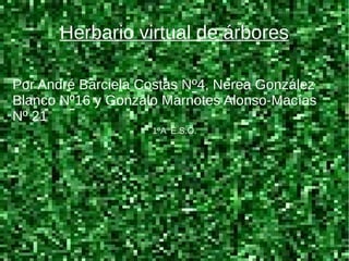 1ºA E.S.O.
Por André Barciela Costas Nº4, Nerea González
Blanco Nº16 y Gonzalo Marnotes Alonso-Macías
Nº 21
Herbario virtual de árbores
 