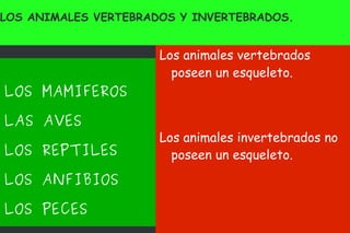 LOS ANIMALES VERTEBRADOS Y INVERTEBRADOS. ,[object Object],[object Object],[object Object],[object Object],[object Object],[object Object],[object Object]