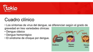 Cuadro clínico
• Los síntomas de virus del dengue, se diferencian según el grado de
gravedad en tres variedades clínicas:
• Dengue clásico
• Dengue hemorrágico
• El síndrome de choque por dengue.
 