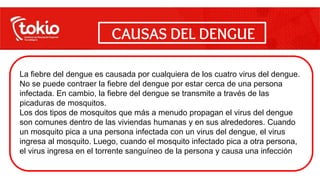 La fiebre del dengue es causada por cualquiera de los cuatro virus del dengue.
No se puede contraer la fiebre del dengue por estar cerca de una persona
infectada. En cambio, la fiebre del dengue se transmite a través de las
picaduras de mosquitos.
Los dos tipos de mosquitos que más a menudo propagan el virus del dengue
son comunes dentro de las viviendas humanas y en sus alrededores. Cuando
un mosquito pica a una persona infectada con un virus del dengue, el virus
ingresa al mosquito. Luego, cuando el mosquito infectado pica a otra persona,
el virus ingresa en el torrente sanguíneo de la persona y causa una infección
CAUSAS DEL DENGUE
 