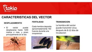 DESPLAZAMIENTO
 El vector puede
desplazarse hasta 1200
metros o mas, y pican
principalmente en el dia
CARACTERISTICAS DEL VECTOR
FERTILIDAD
Cada hembra deposita
aproximadamente 140
huevos durante una
ovoposicion
TRANSMICION
La hembra del vector
puede transmitir virus
después de 8-12 días de
incubacion
 