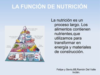 LA FUNCIÓN DE NUTRICIÓN
La nutrición es un
proceso largo. Los
alimentos contienen
nutrientes,que
utilizamos para
transformar en
energía y materiales
de construcción.

Felipe y Sevio,6B,Ramón Del Valle
Inclán.

 