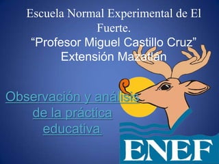 Escuela Normal Experimental de El
                Fuerte.
    “Profesor Miguel Castillo Cruz”
          Extensión Mazatlán


Observación y análisis
   de la práctica
     educativa.
 