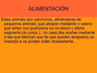 ALIMENTACIÓN Estes animais son carnívoros, aliméntanse de pequenos animais, que atrapan mediante o veleno que teñen nos quelíceros ou no telson ( último segmento do corpo ),  no caso das arañas mediante a tea que fabrican que fai que queden atrapados os insectos e os poidan coller doadamente. 