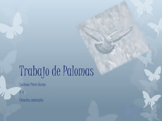 Luciana Pérez duran
8-4
Ciencias naturales
Trabajo de Palomas
 