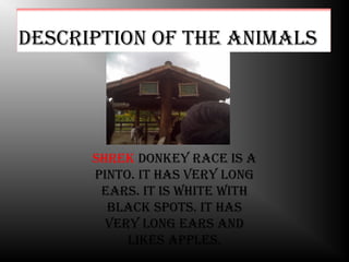 descriPtion oF the animals




      shrek donkey race is a
      Pinto. it has very long
       ears. it is White With
        black sPots. it has
        very long ears and
           likes aPPles.
 