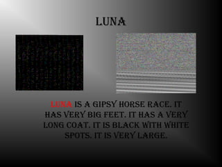 luna




  luna is a giPsy horse race. it
has very big Feet. it has a very
long coat. it is black With White
     sPots. it is very large.
 