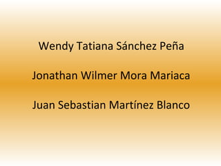 Wendy Tatiana Sánchez Peña

Jonathan Wilmer Mora Mariaca

Juan Sebastian Martínez Blanco
 