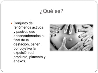 ¿Qué es? Conjunto de fenómenos activos y pasivos que desencadenados al final de la gestación, tienen por objetivo la expulsión del producto, placenta y anexos.