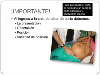 ¡IMPORTANTE!Al ingreso a la sala de labor de parto debemos:La presentación Orientación Posición Variedad de posición Para que ocurra el parto es necesario un canal de parto adecuado y contracción uterina 