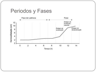 Periodos y Fases 